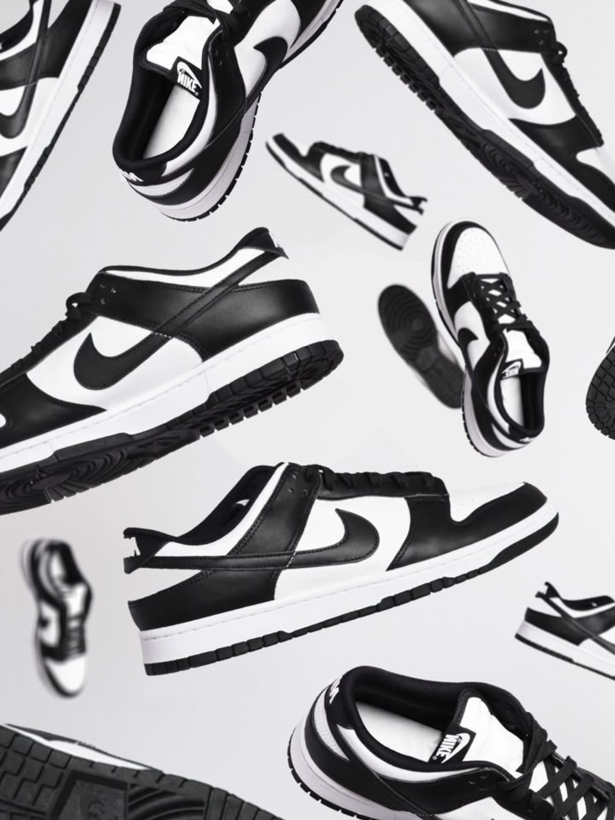 Sneaker Packaging